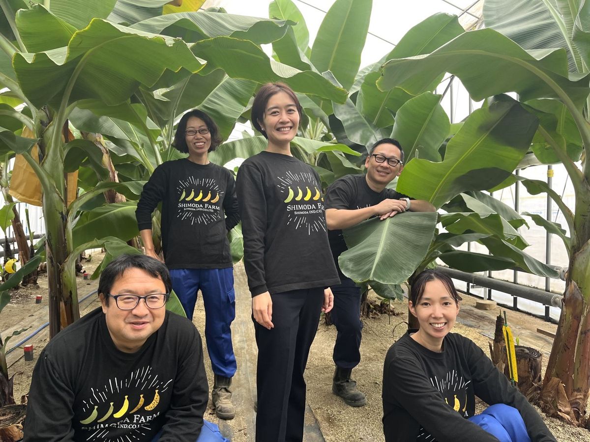 シモダファーム