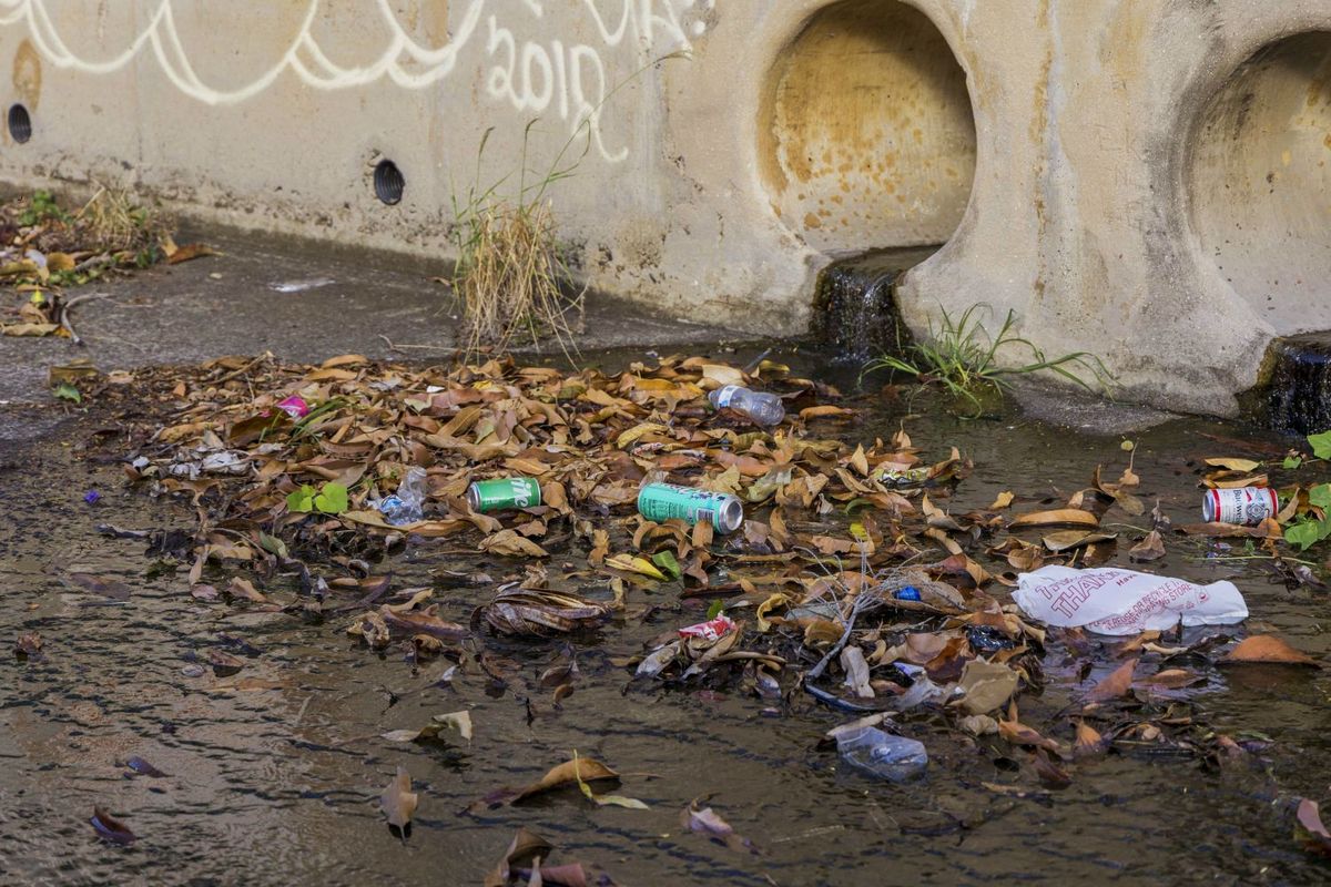 ハワイの街のごみ