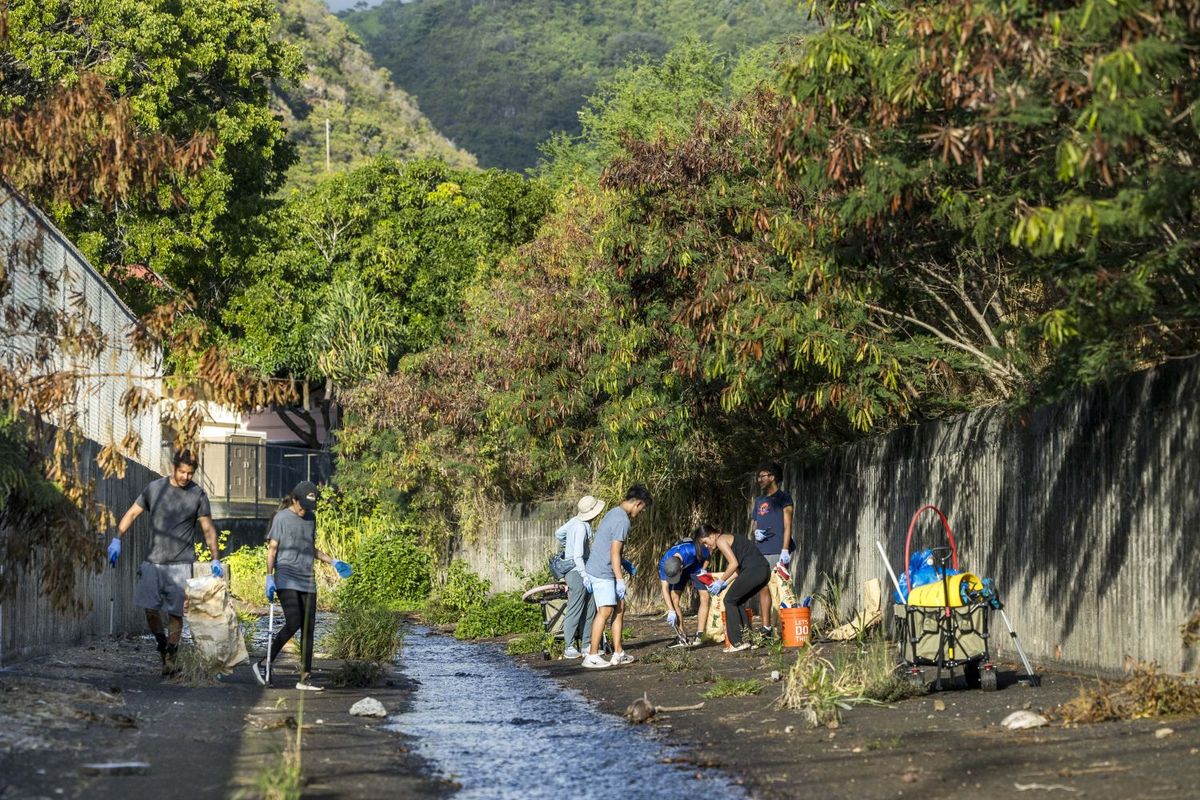 ハワイ「Sustainable Coastlines Hawaii（サステナブル・コーストラインズ・ハワイ）」の