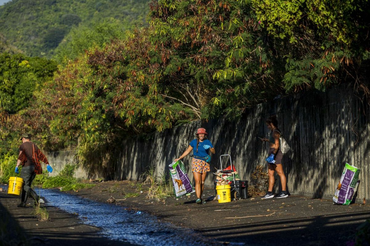 ハワイ「Sustainable Coastlines Hawaii（サステナブル・コーストラインズ・ハワイ）」