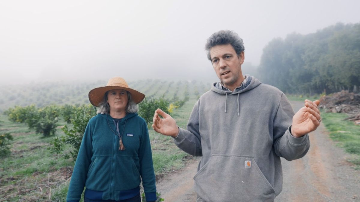 食べることは生きること