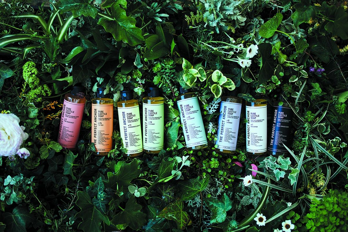 草の上に並べられたザ・パーフェクトアンカー