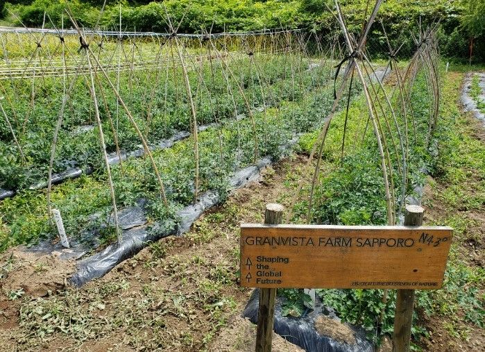 グランビスタファーム サッポロの様子