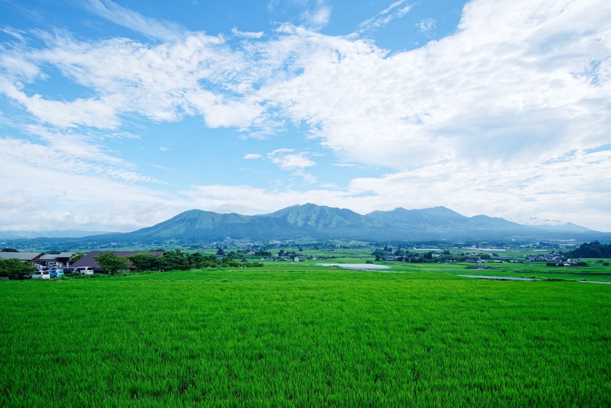 広大な畑の奥に見える稜線