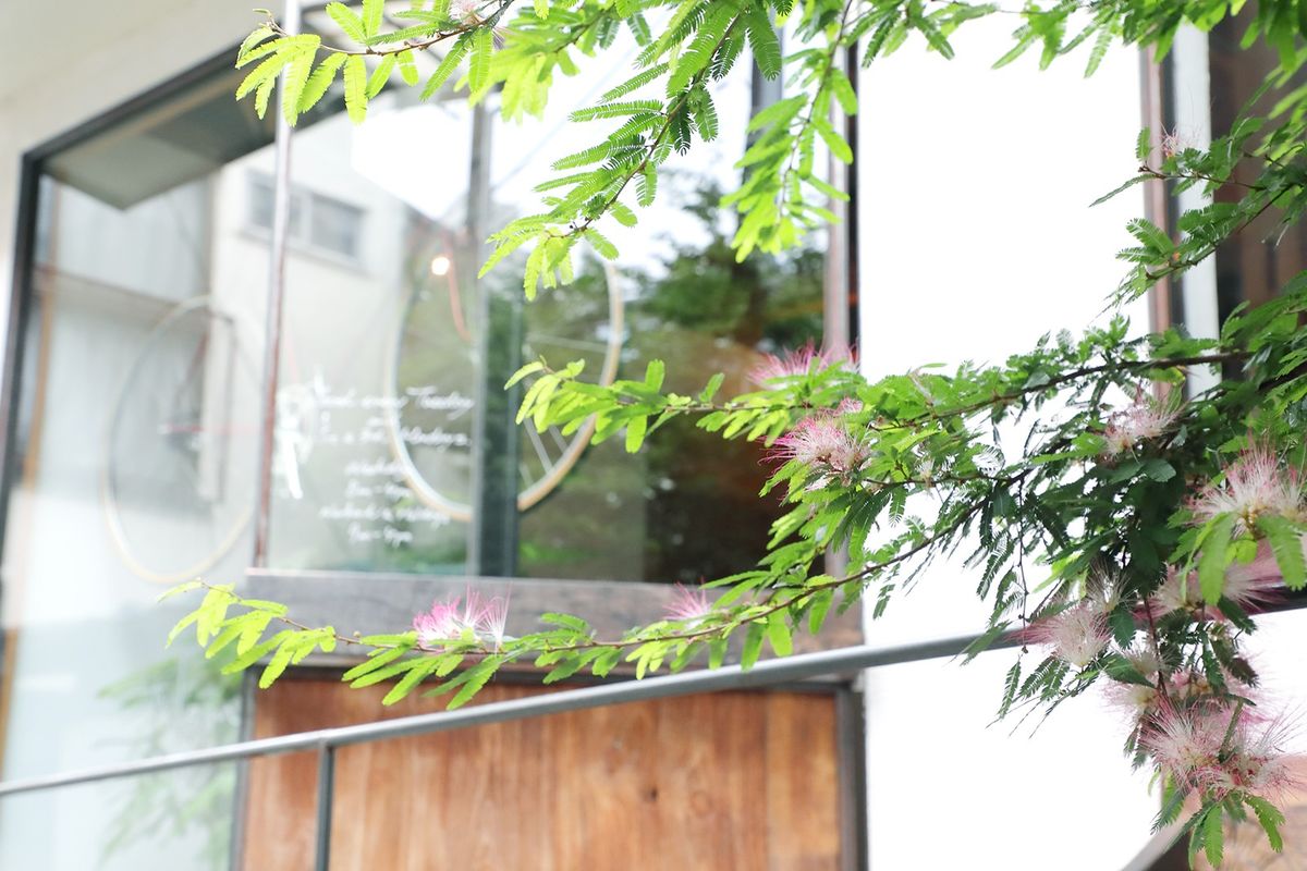 Nem Coffee ＆ Espresso外観のネムの樹