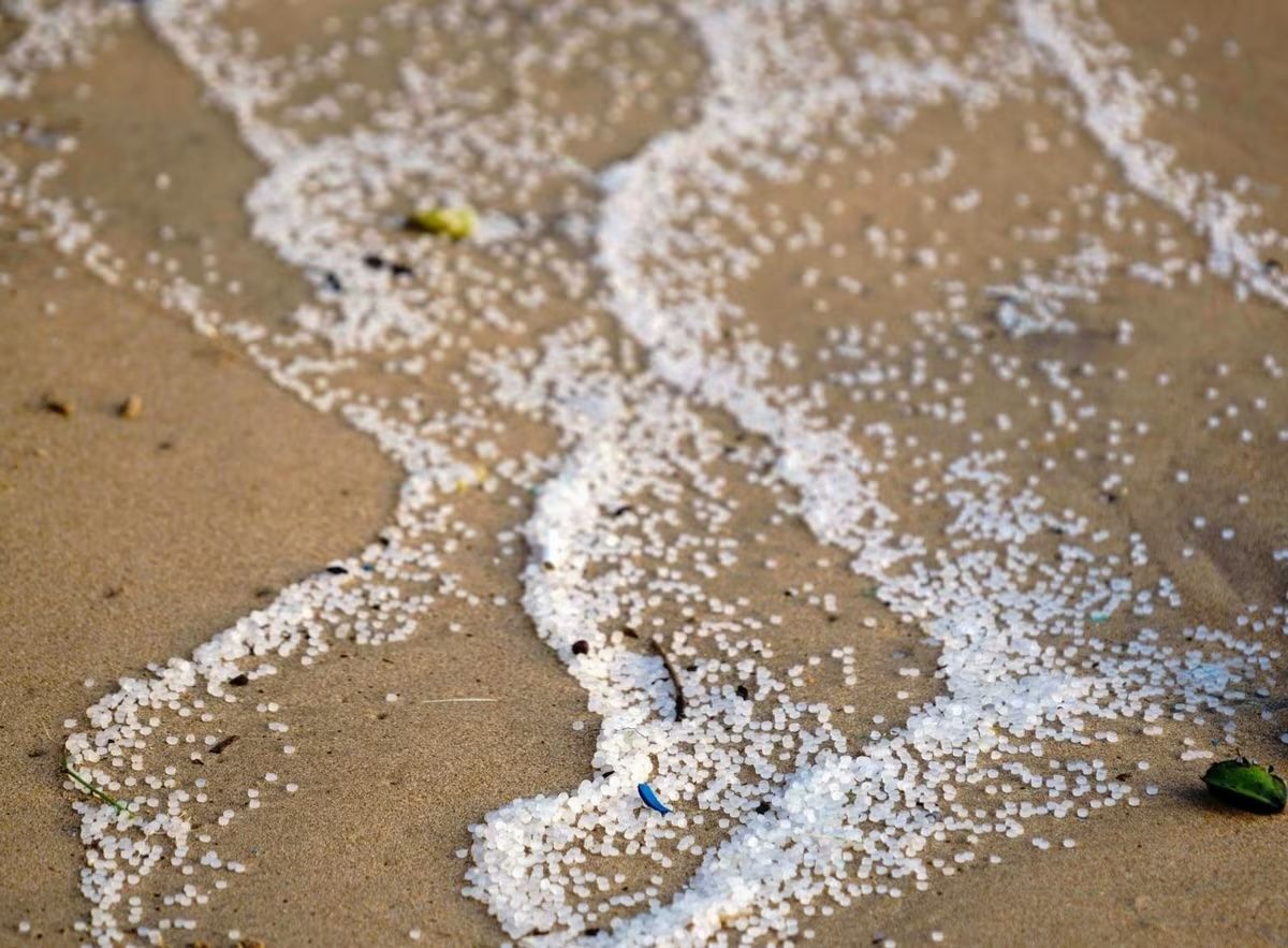 マイクロプラスチック