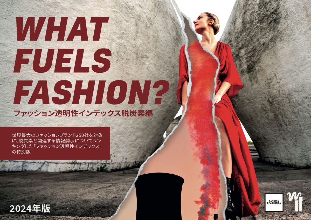 WHAT FUELS FASHION?