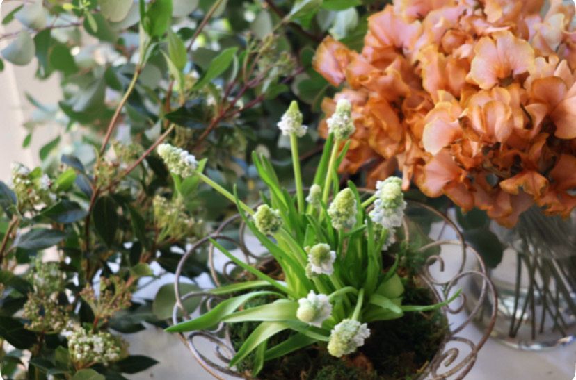 球根アレンジメントワークショップのイメージ