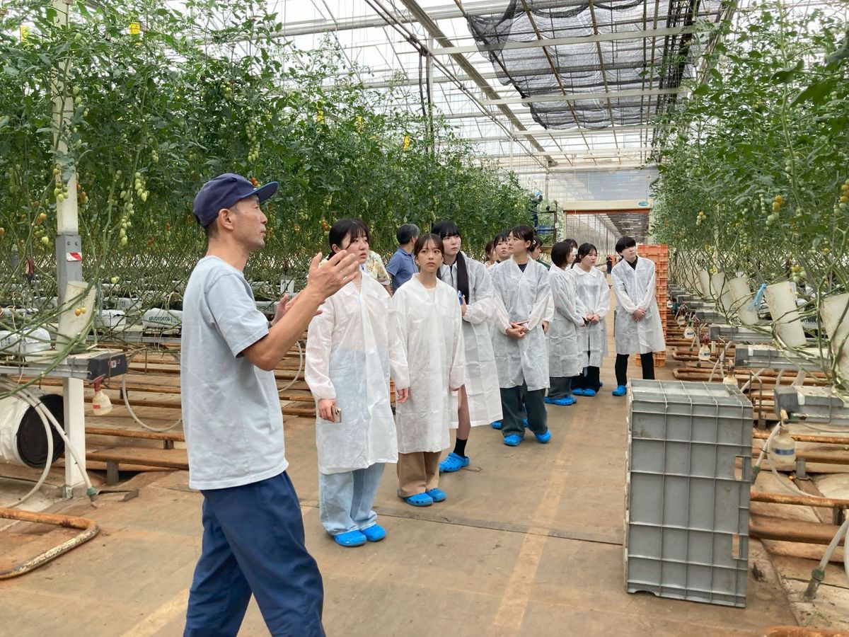 いわき小名浜菜園の見学