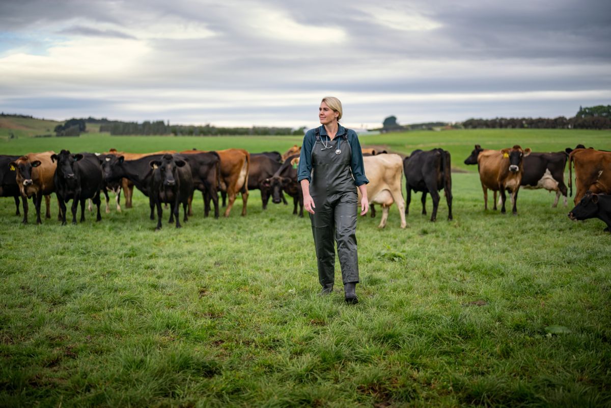 ニュージーランドの放牧（グラスフェッド）の牧場