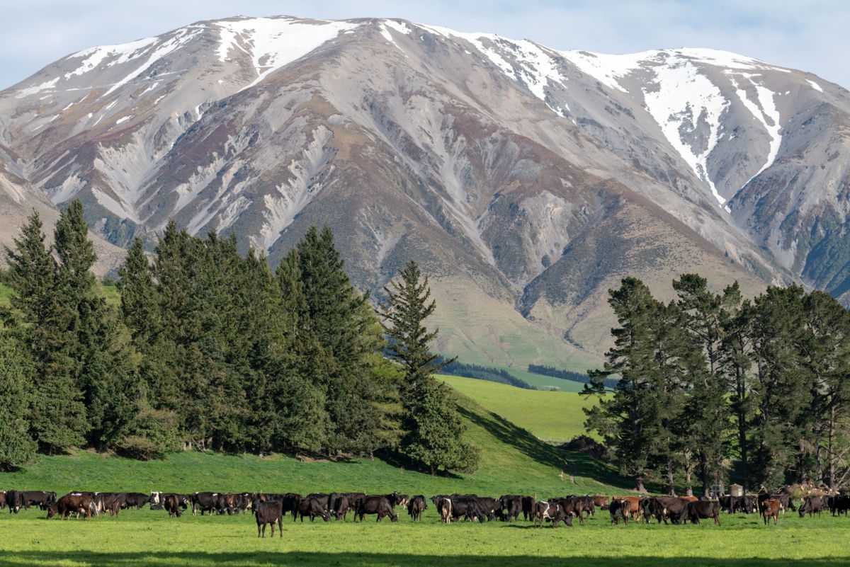 フォンテラ×ELEMINISTコラボイベント「放牧酪農・循環型酪農」イベント