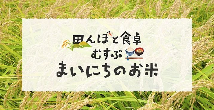 田んぼと食卓 むすぶお米 イメージ画像