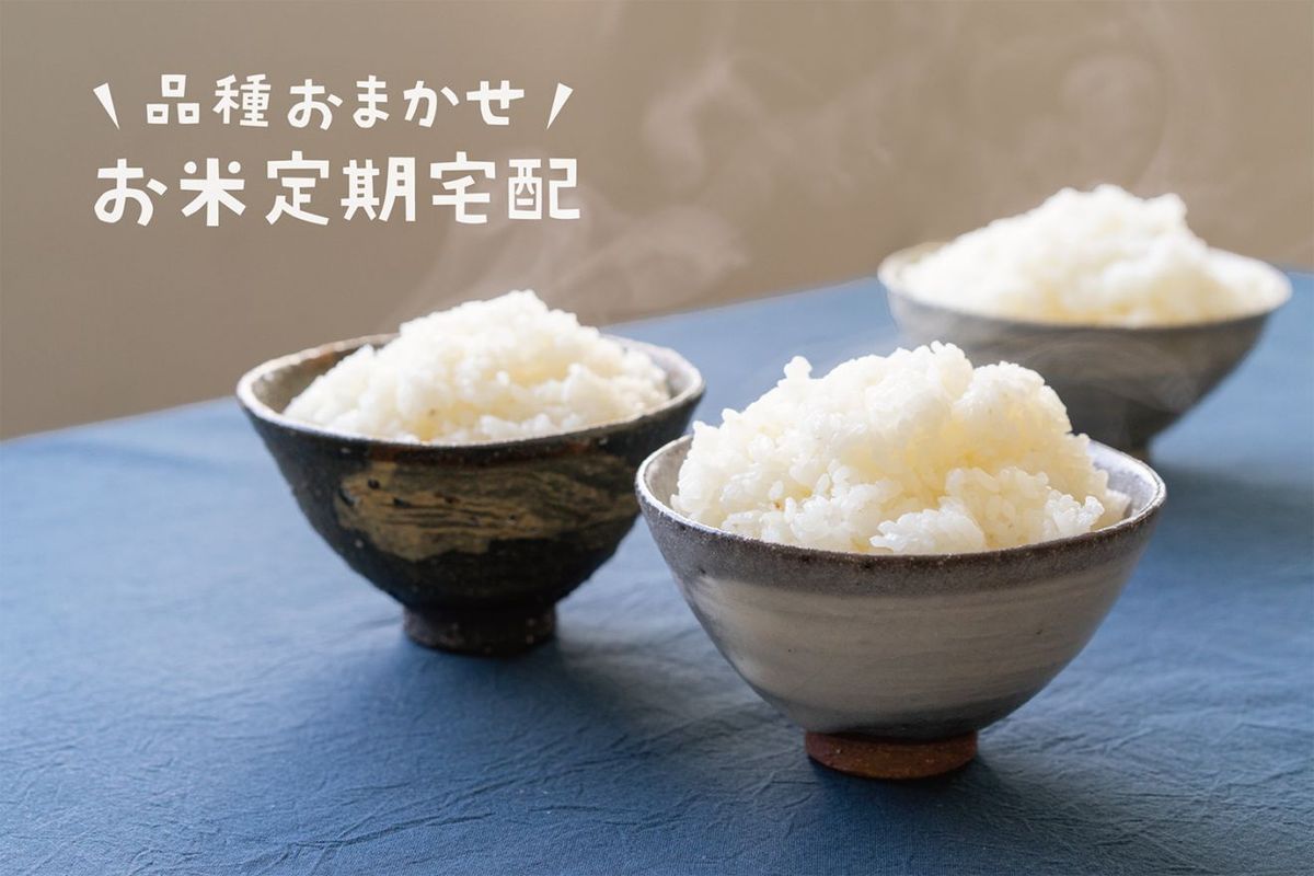 田んぼと食卓 むすぶお米 イメージ画像