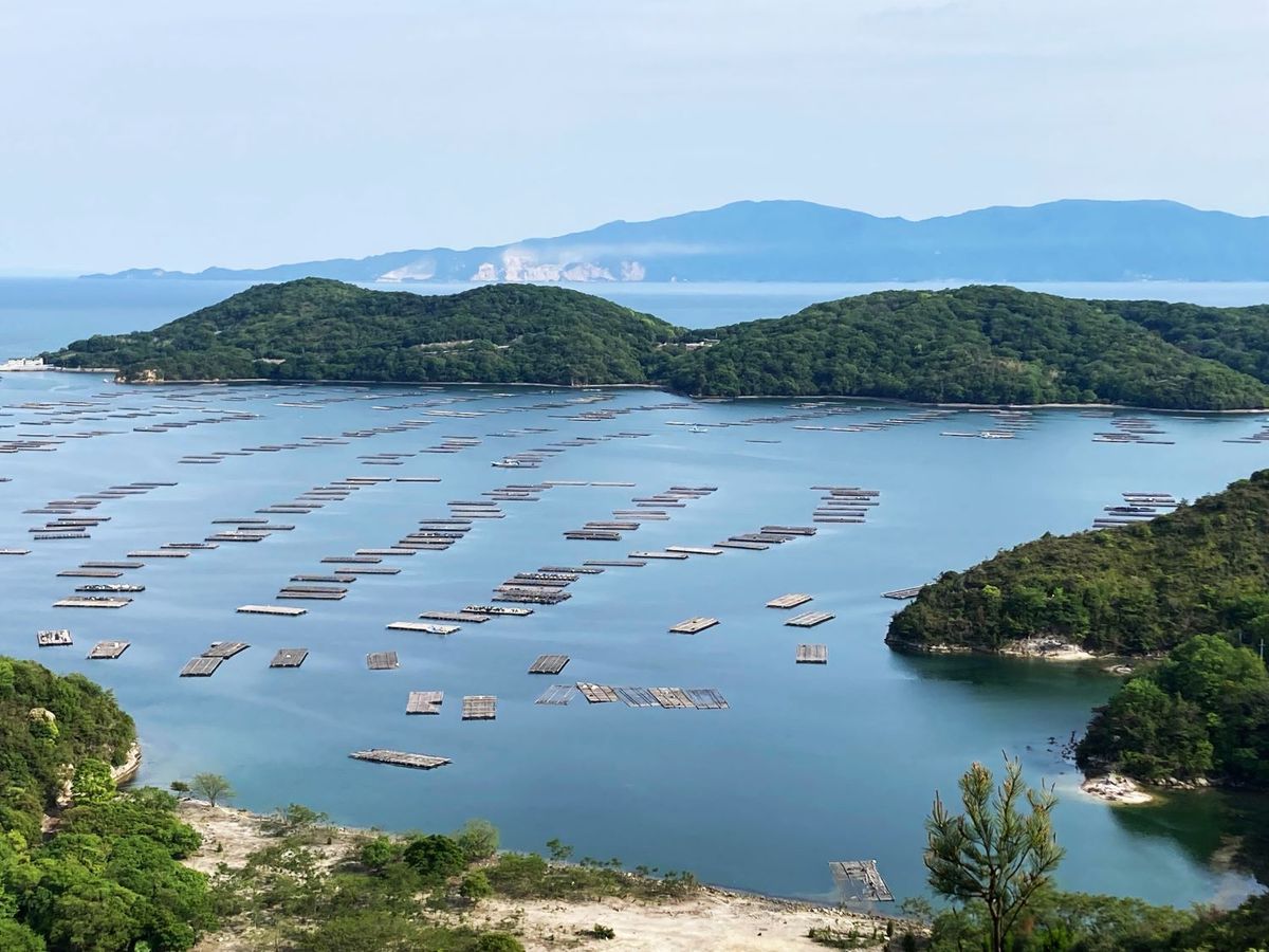 邑久町から見た海の写真