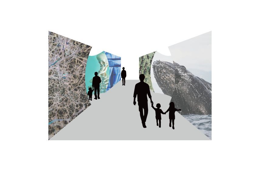 ライフジャーニー 展示イメージ