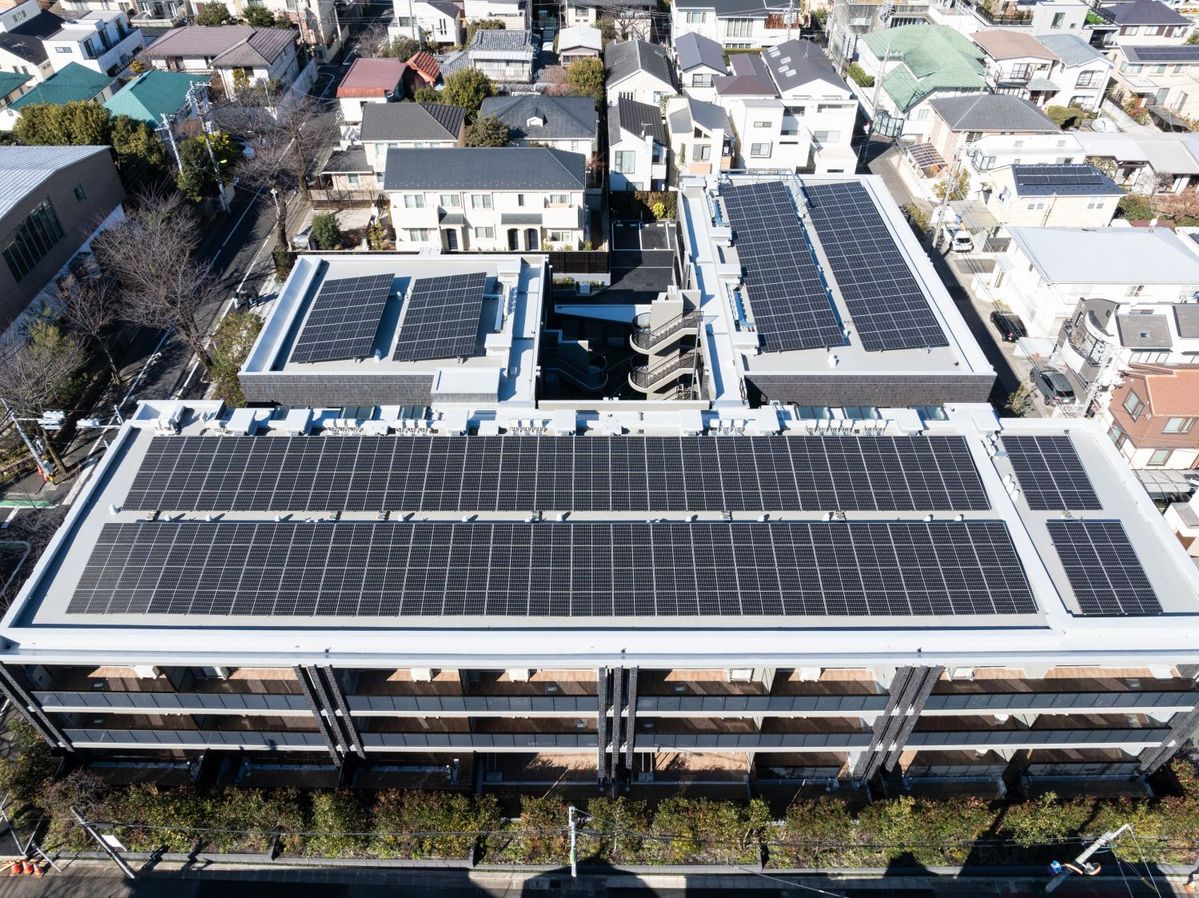 屋上に設置された太陽光パネルの写真