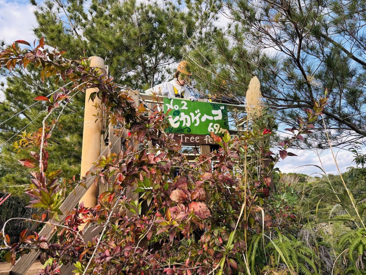 やんばるアドベンチャーフィールド