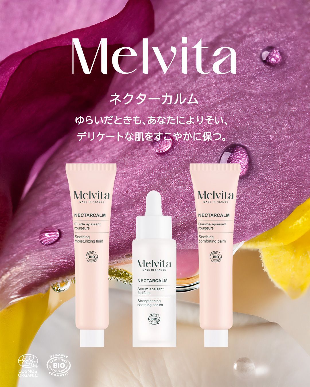 ネクターカルム STG フリュイド、ネクターカルム STG バームのパッケージ写真