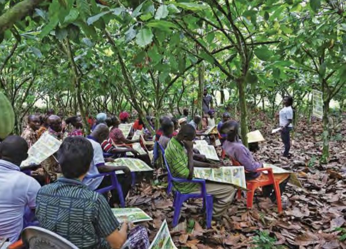 メイジ・カカオ・サポート