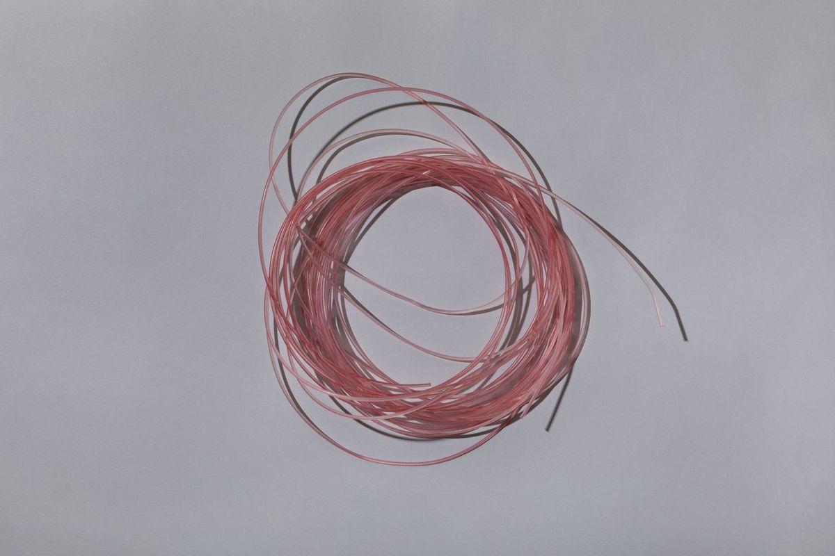 マグロテグスの写真