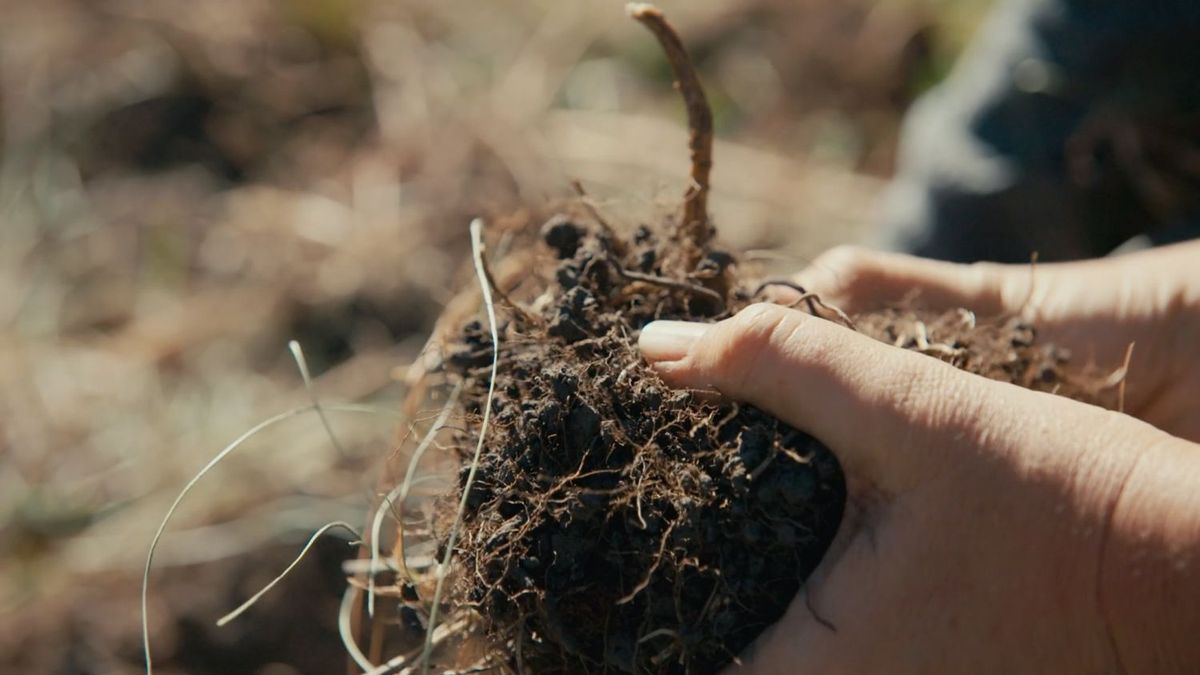 君の根は。大地再生にいどむ人々