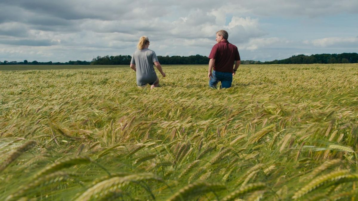 君の根は。大地再生にいどむ人々