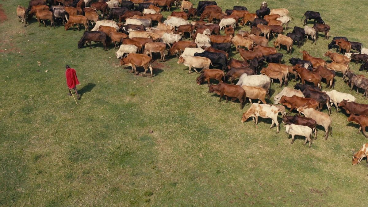 君の根は。大地再生にいどむ人々