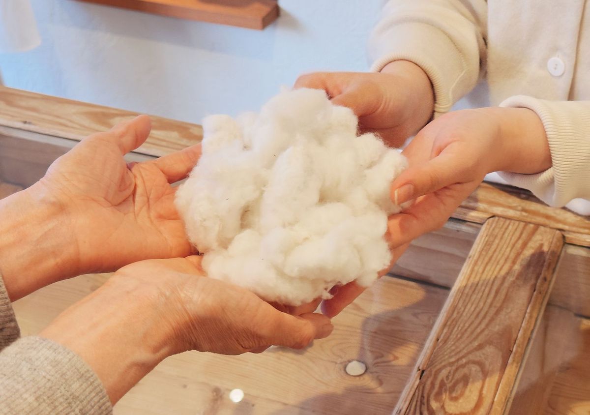 オーガニックコットン イメージ写真