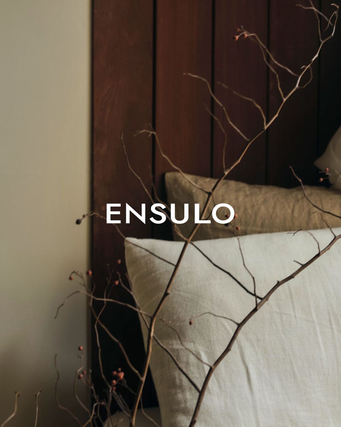 エンスーロ ロゴ画像