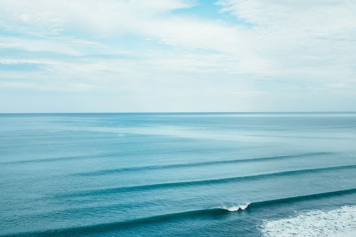 海