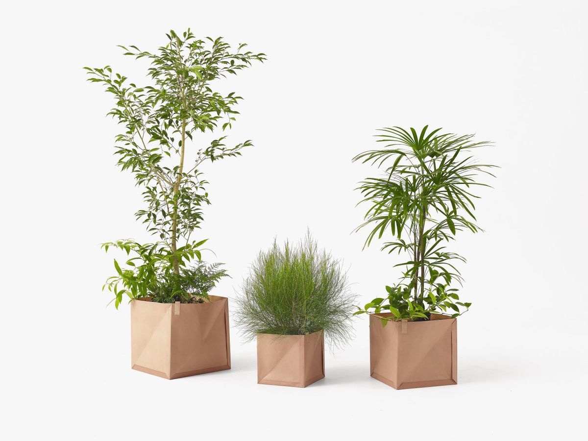 トサワシシリーズ 商品写真