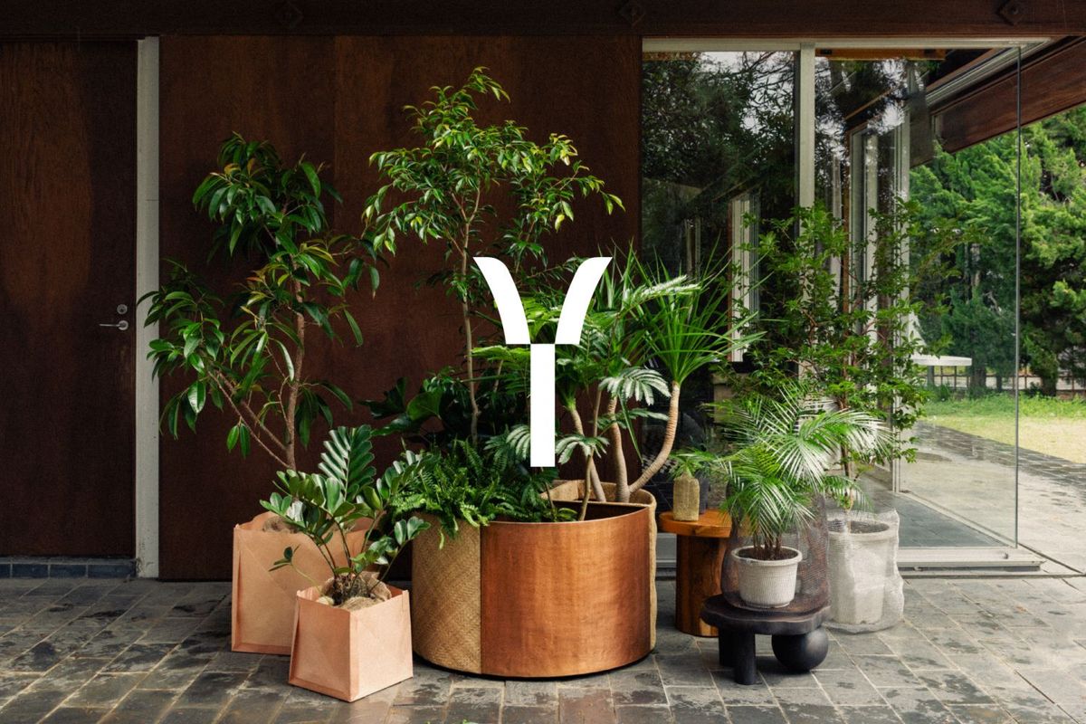 ヨウエン イメージ画像