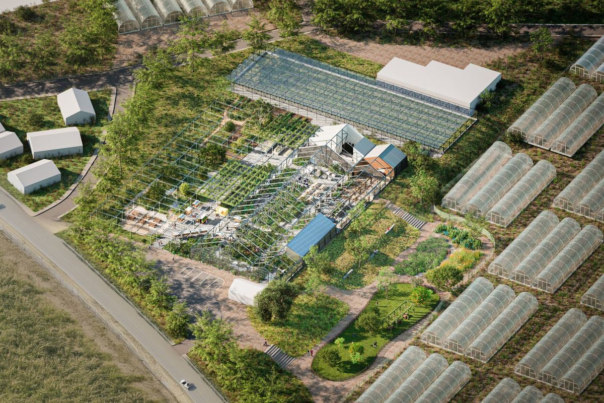 大多喜有用植物苑の空中写真