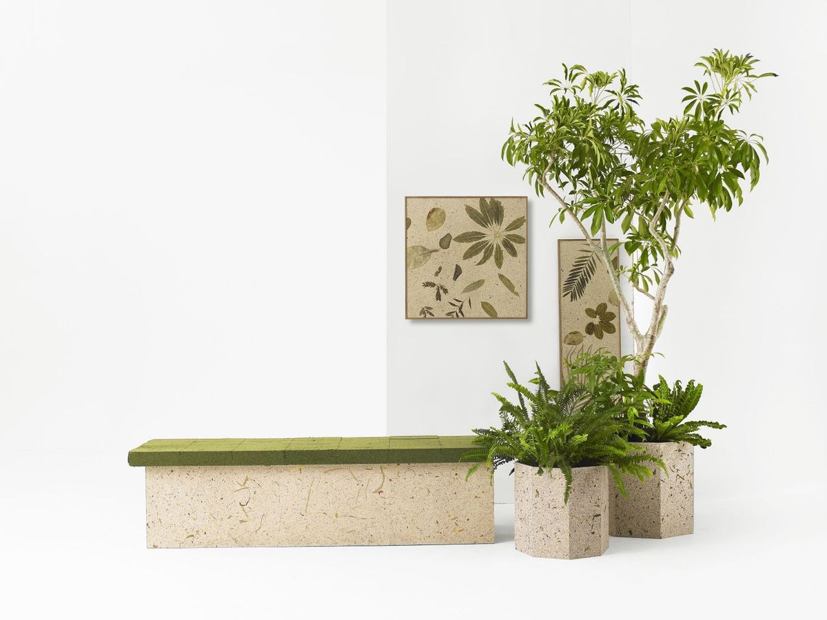 ロスグリーンパネコプロジェクト 商品写真