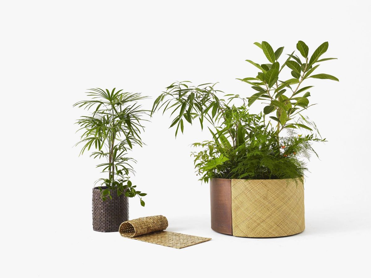 サステナブルマテリアルシリーズ 商品写真