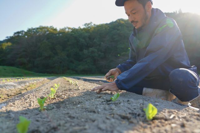 農業をする人の写真