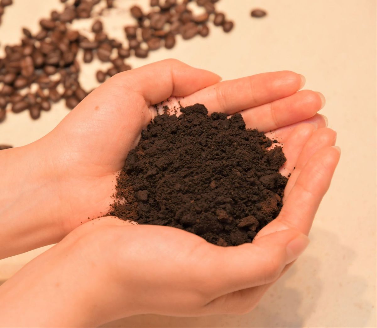 コーヒーかすの写真