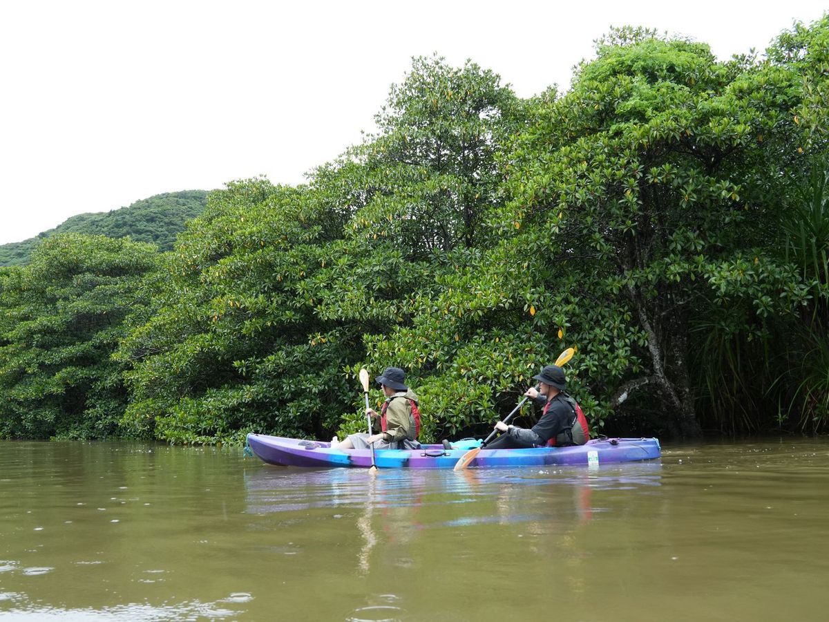 Us 4 IRIOMOTE