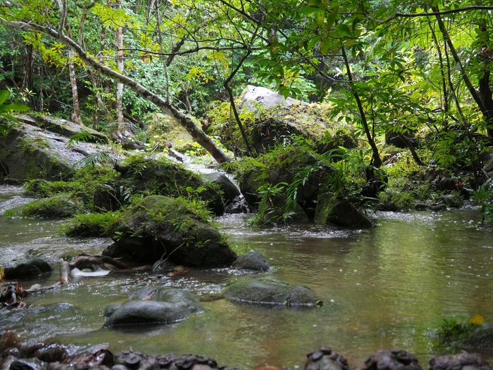 エシカルな旅は、旅人にできる自然への恩返し。−「Us 4 IRIOMOTE