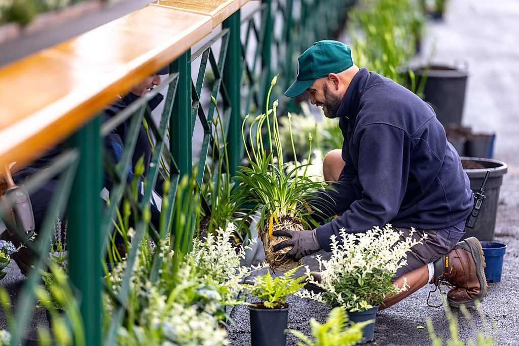 ウィンブルドン選手権のサステナビリティ戦略の一環、生物多様性への貢献のための植樹