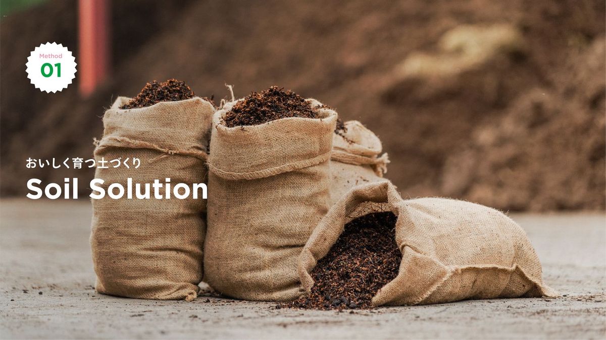 Soil Solution キービジュアル