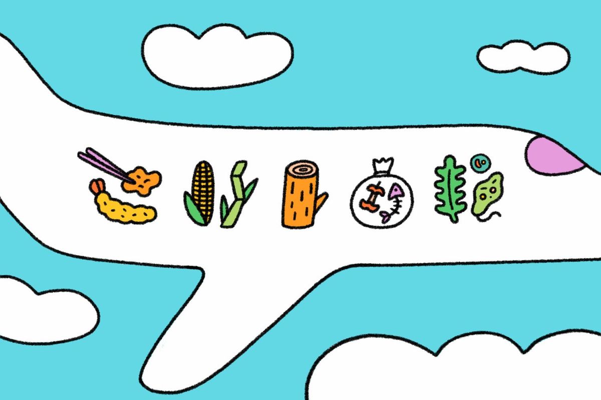 子どもむけ「SAF（持続可能な航空燃料）」って何