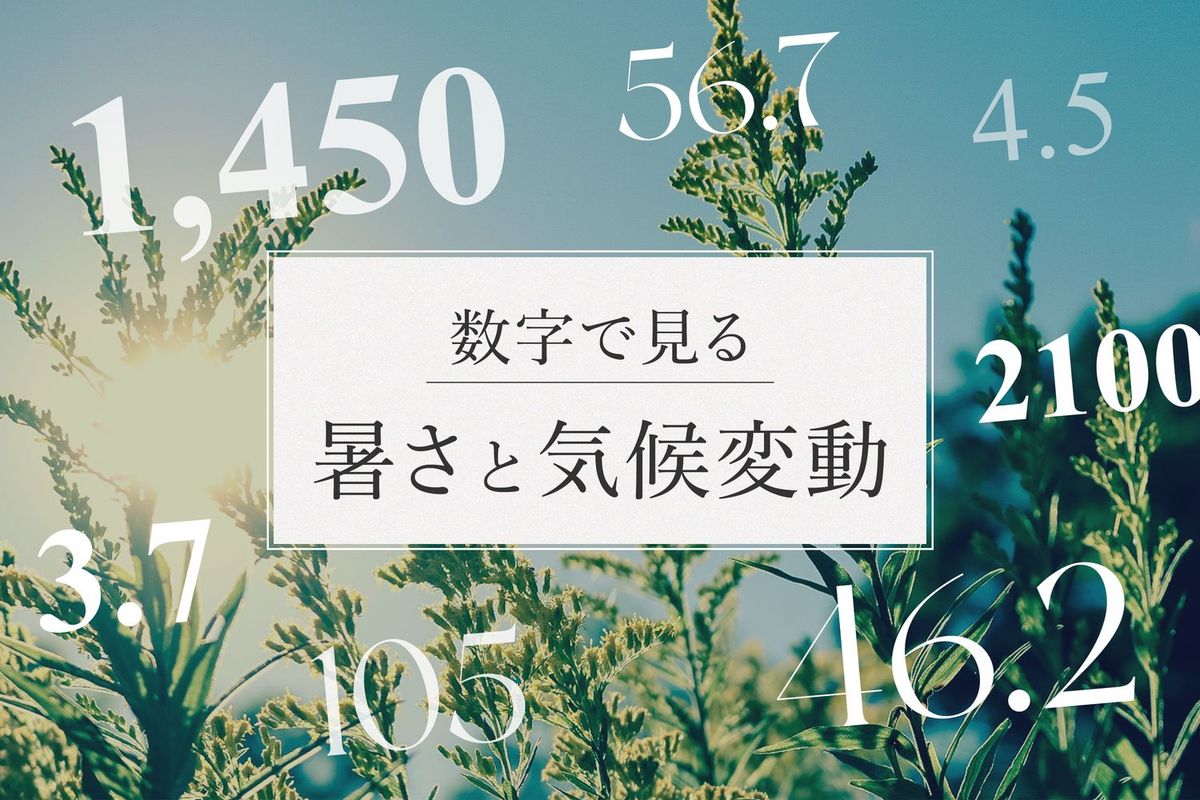 数字で見る「暑さと気候変動」
