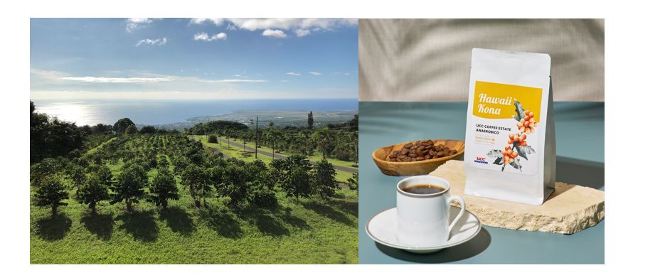 UCCハワイコナコーヒー直営農園産アナエロビコ 告知画像