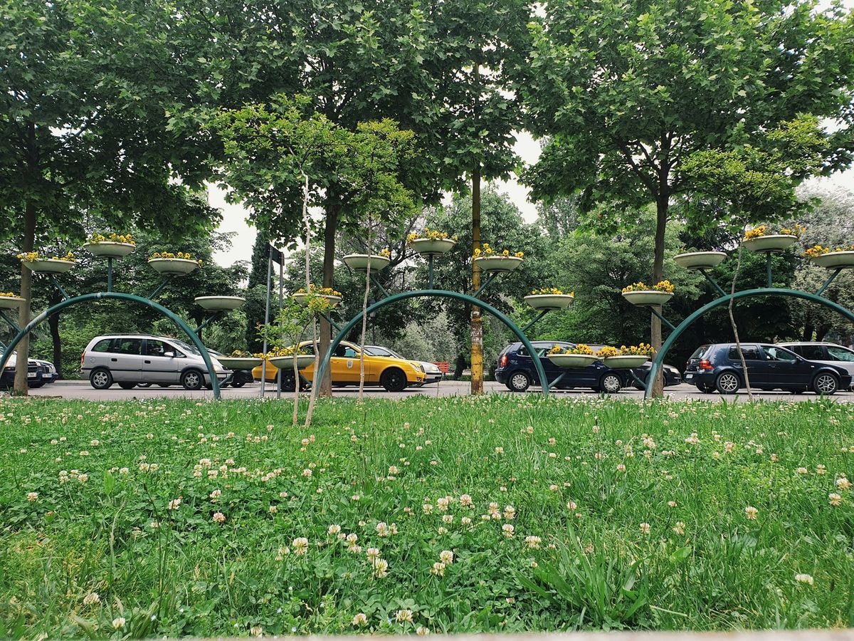 ウィーン市の駐車スペースを路上公園に