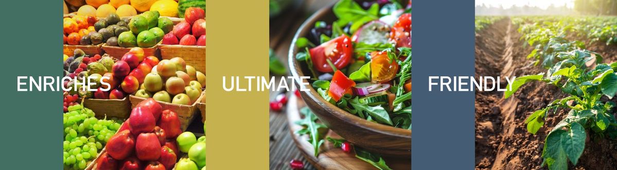 マニフィークが届ける3つの価値 イメージ