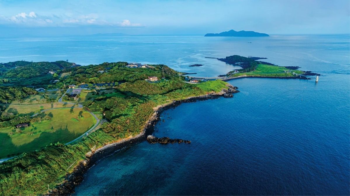 波戸岬 航空写真