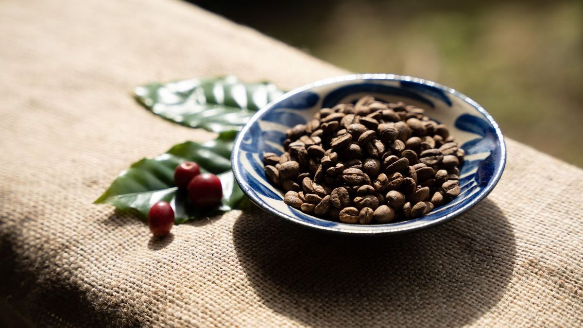 コーヒーの焙煎体験 イメージ写真