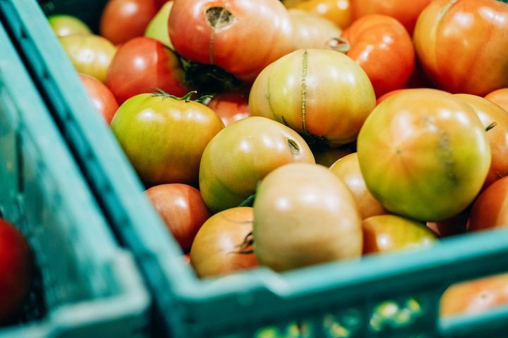 HOSHIKOの「くまもとトマトロジープロジェクト」が6周年 活用した規格