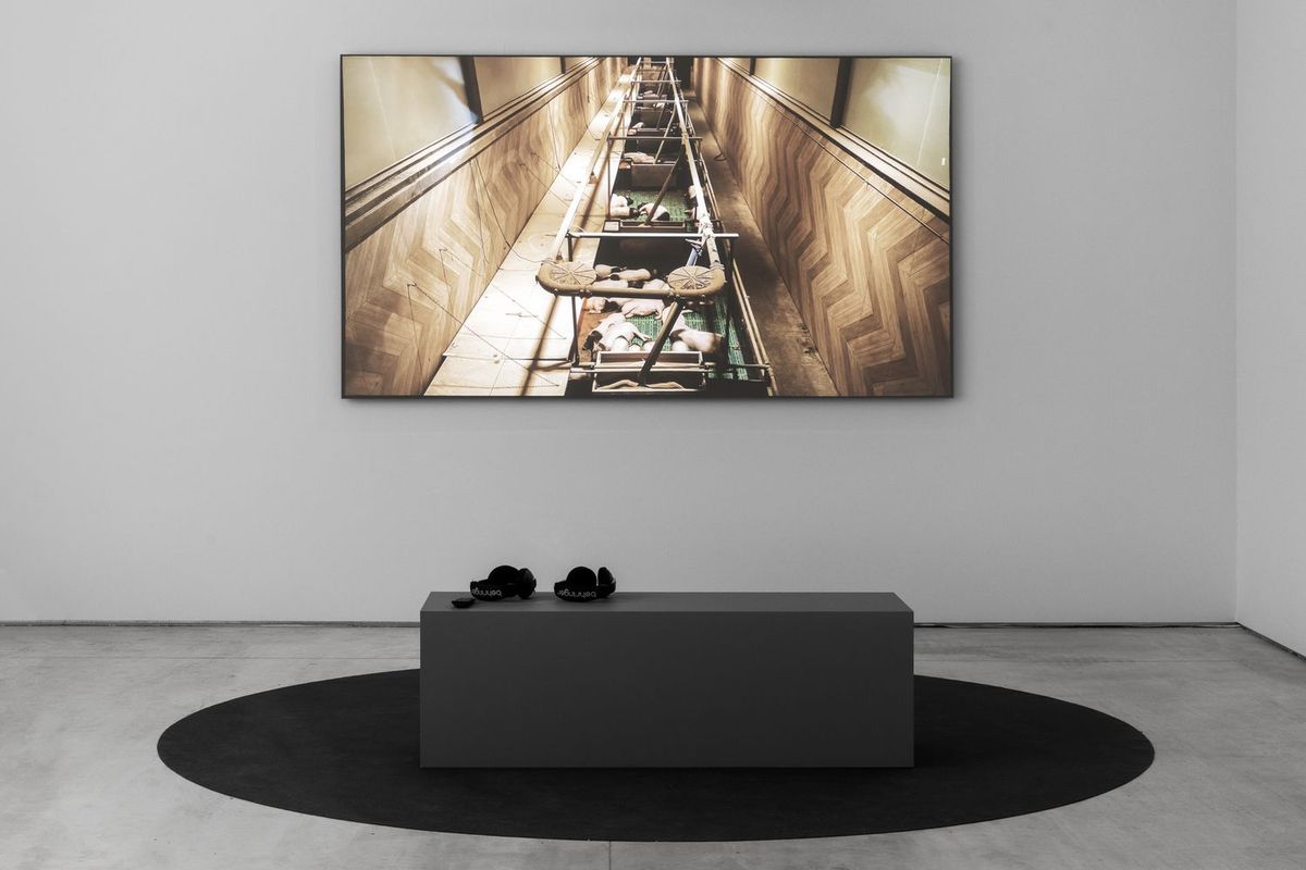 動物の権利を問う大規模展覧会がアテネで開催